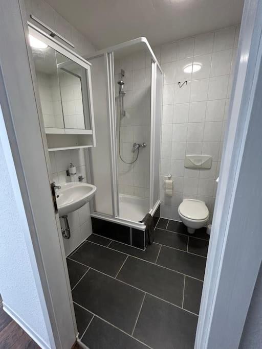 Apartment Gemuetliches Mit Garten Ilmenau